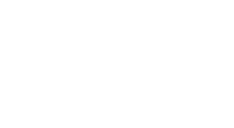 Foodora Logo